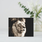 Carte Postale Sepia Lion (Debout devant)