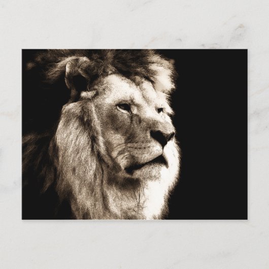 Carte Postale Sepia Lion (Devant)