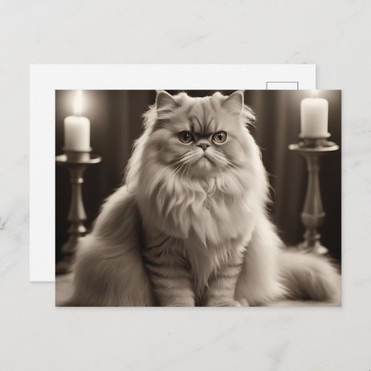 Carte Postale Sepia Perse Portrait de chat Élégant intemporel (Devant / Derrière)
