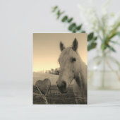 Carte Postale Sepia tone Brown Horse & Coeur (Debout devant)