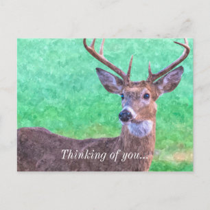 Carte Postale Sept Points Buck Paintéralement Penser De Vous