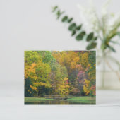 Carte Postale Sept Ponts de Source Cascade II Paysage d'Automne (Debout devant)
