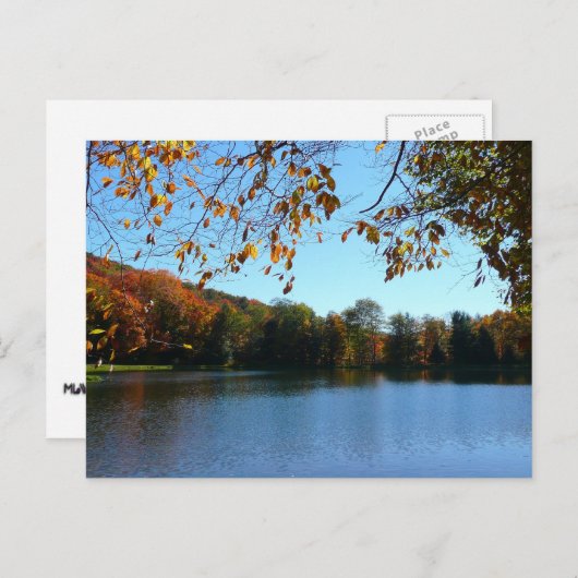 Carte Postale Sept sources Automnes Arbres et Étang (Devant / Derrière)