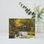 Carte Postale Sept Sources Pont D'Automne I Paysage D'Automne (Debout devant)