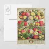 Carte Postale Septembre, à partir de "Douze mois de fruits" (Devant / Derrière)