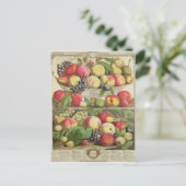 Carte Postale Septembre, à partir de "Douze mois de fruits" (Debout devant)