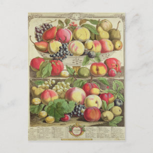 Carte Postale Septembre, à partir de "Douze mois de fruits"