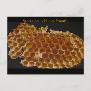 Carte Postale Septembre est le mois du miel !