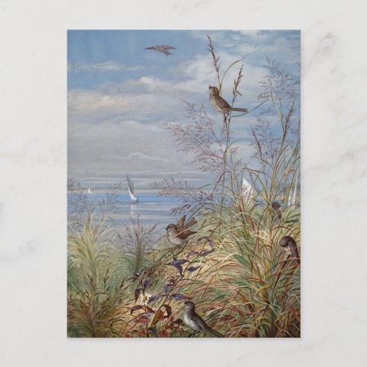 Carte Postale Septembre | Ponts Fidelia (Devant)