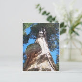 Carte Postale Seqouia géante (Debout devant)