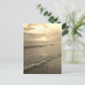 Carte postale séquoia (Debout devant)