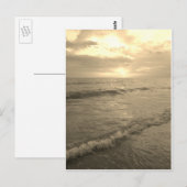 Carte postale séquoia (Devant / Derrière)