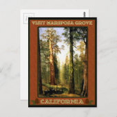 Carte Postale Séquoia à Mariposa Grove (Devant / Derrière)