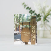 Carte postale Sequoia/Congress Trail ! (Debout devant)