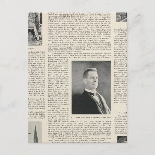 Carte Postale Séquoia de Sonoma, Californie (Devant)