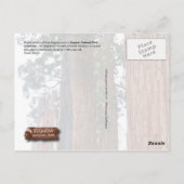 Carte Postale Séquoia géant, Parc national de Sequoia, CA (Dos)