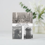 Carte Postale Séquoia Géante, Plus Grand Arbre Jamais Coupé (Debout devant)