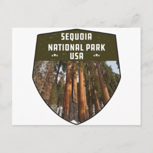 Carte Postale Sequoia National Park Californie Sséquoia arbres