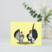 Carte Postale Serama Bantams (Debout devant)