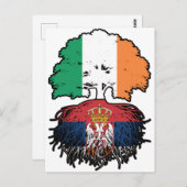 Carte Postale Serbie Serbe Irlande drapeau des racines d'arbre (Devant / Derrière)