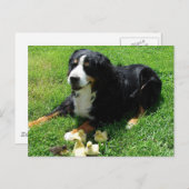 Carte Postale Serena et les canons (Devant / Derrière)