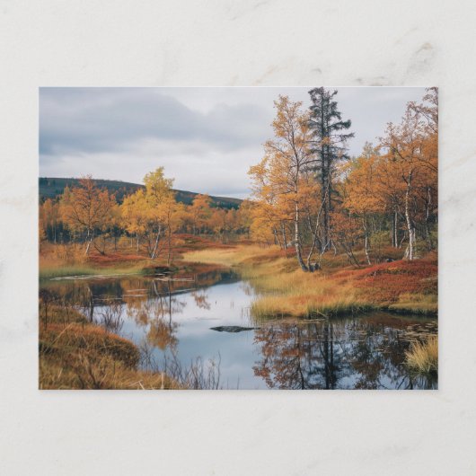 Carte Postale Sérénade d'automne Réflexions de Ruska finlandais (Devant)