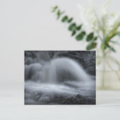 Carte Postale sérénade de cascade (Debout devant)