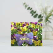 Carte postale Serene Pansy (Debout devant)