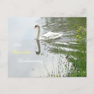 Carte postale Serene Swan & Dragonfly Sympathy