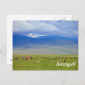 Carte Postale Serengeti (Devant / Derrière)