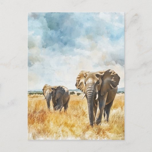 Carte Postale Serengetti Elephants (Devant)