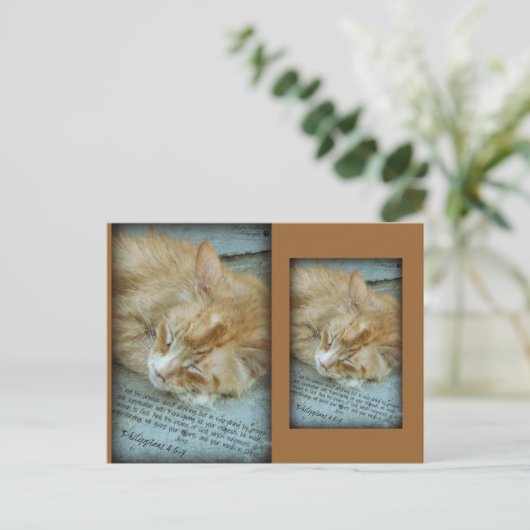 Carte Postale Sérénité (Debout devant)