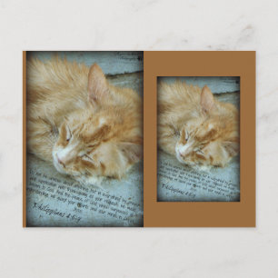 Carte Postale Sérénité