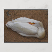 Carte Postale Sérénité en blanc (Devant)