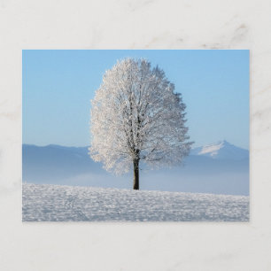 Carte Postale Sérénité Prière Arbre d'hiver