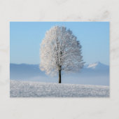 Carte Postale Sérénité Prière Arbre d'hiver (Devant)