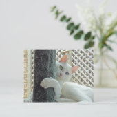 Carte postale serenity enlacée (Debout devant)