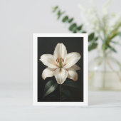 Carte Postale Serenity White Lily - Hommage Floral Élégant (Debout devant)