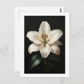 Carte Postale Serenity White Lily - Hommage Floral Élégant (Devant / Derrière)