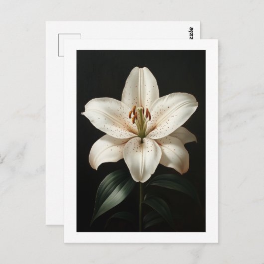 Carte Postale Serenity White Lily - Hommage Floral Élégant (Devant / Derrière)