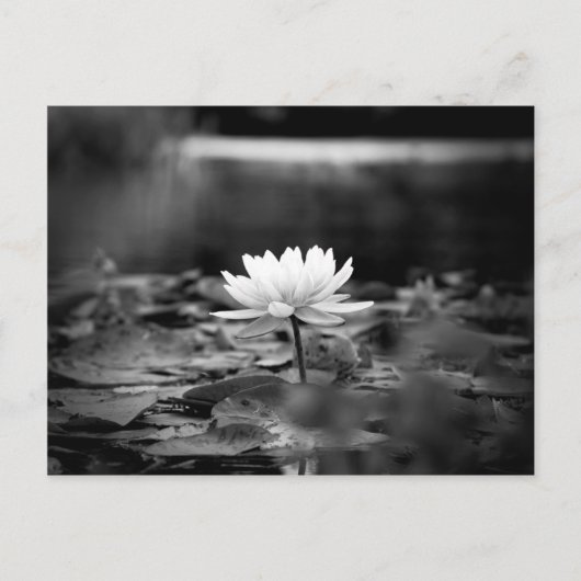 Carte Postale Série 0851 (Devant)