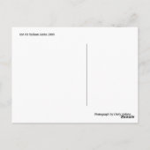 Carte Postale Série chaude 2009 de ballon à air (Dos)