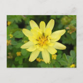 Carte Postale Série de fleurs 2007 (Devant)