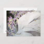 Carte Postale Série de fleurs II- Phaius (Devant / Derrière)