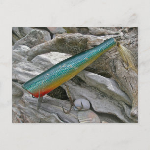 Carte Postale Série de leurres de pêche vintage Hickey Do Beachc
