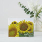 Carte Postale Série de tournesols (Debout devant)