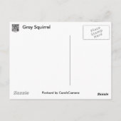 Carte Postale Série d'écureuils gris (Dos)
