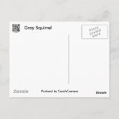 Carte Postale Série d'écureuils gris (Dos)