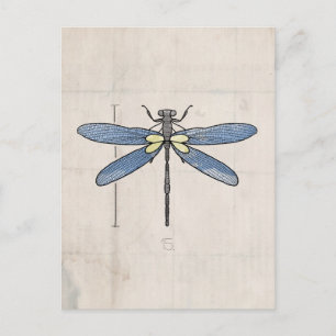 Carte Postale Série d'insectes - libellule par VOL25