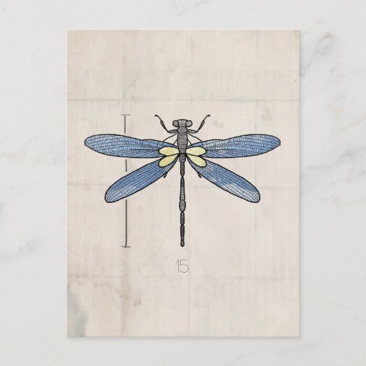 Carte Postale Série d'insectes - libellule par VOL25 (Devant)